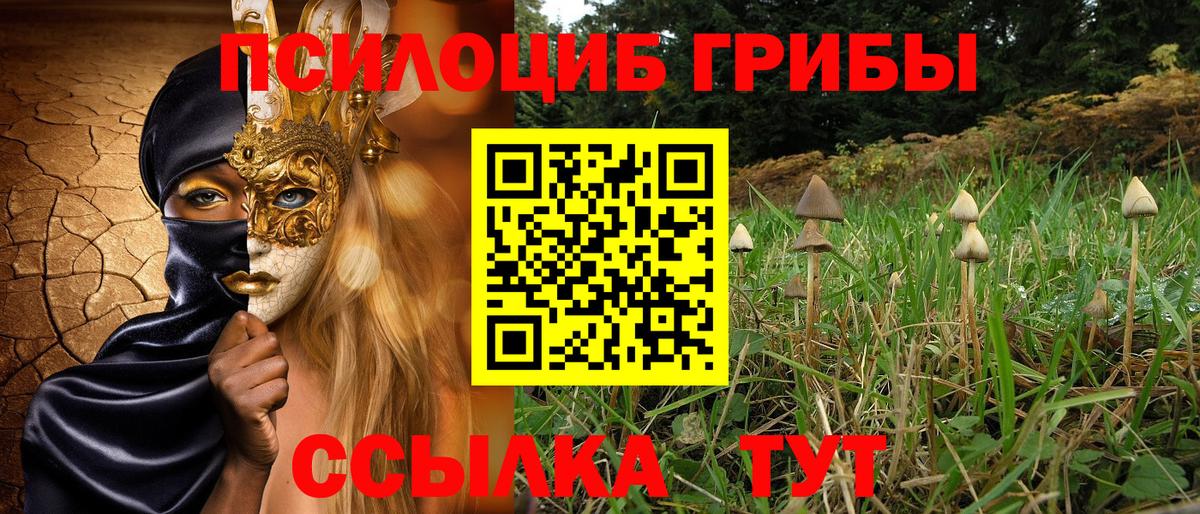 Псилоцибиновые грибы GOLDEN TEACHER  Вход с VPN  Галлюциногенные грибы MAGIC MUSHROOMS  Павловский Посад 