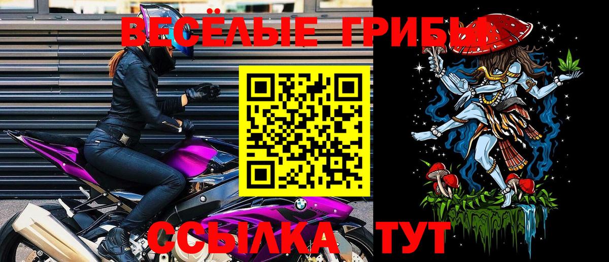 Галлюциногенные грибы Psilocybine cubensis Павловский Посад
